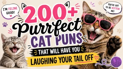 200+ Purrfect Cat Puns That Will Have You Laughing Your Tail Off